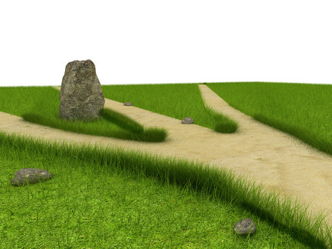 Divarication at green field near the huge stone