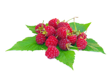 Himbeere - raspberry 18