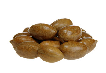 Pecannuss - pecan nut 01