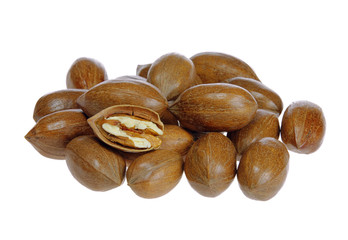 Pecannuss - pecan nut 02