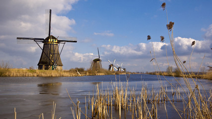 Windmills and Reeds at Kinderdijk