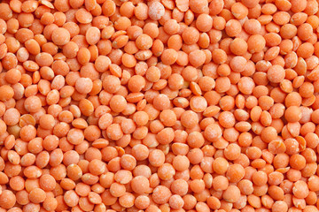 red lentils background