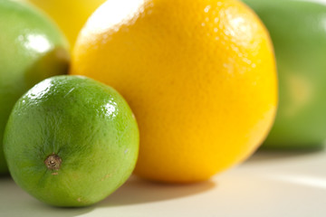 fresh taste citrus fruits on the table still life