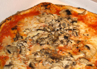 Mushroom Pizza