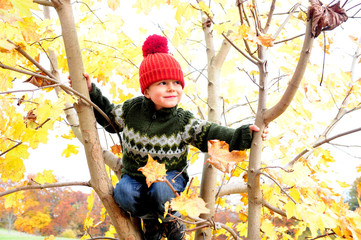 Junge klettert im Baum