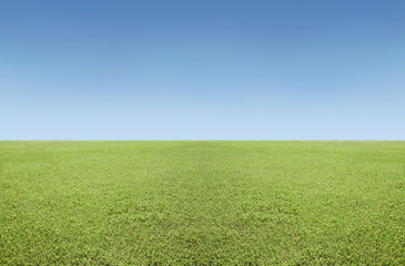Plakat Grass and sky