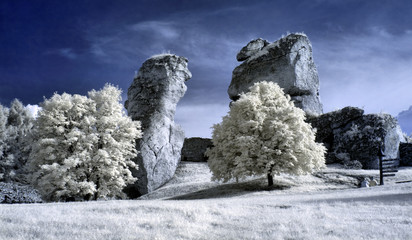 Fototapety na wymiar - Fototapeta24.pl