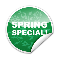Pegatina SPRING SPECIAL! con reborde