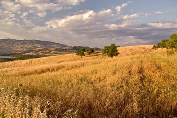 typical sicilian landscape