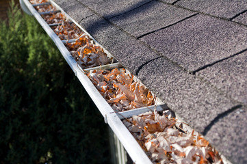 Naklejka premium Leaves in rain gutter.