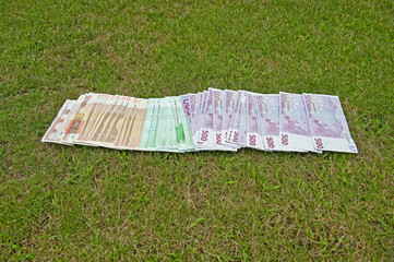 Geld auf dem Rasen