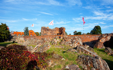 Teutonic castle in Toruń,Poland © 123108 Aneta