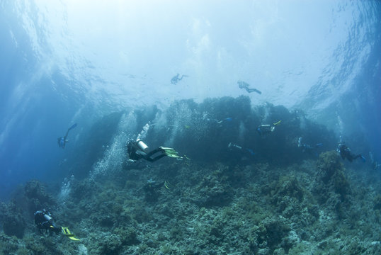 Big group of scuba divers underwater.