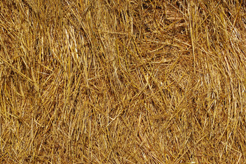 hay texture