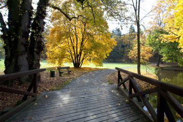 creek and bridge in the autumn forest