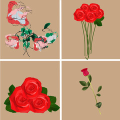 Bouquets of roses, set