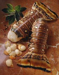 Queues de langouste et coquilles saint-jacques