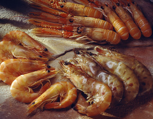 Langoustines, gambas et crevettes