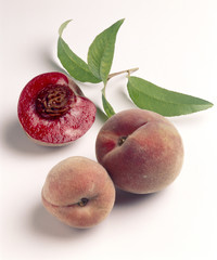 Pêches de vigne