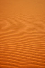 sahara