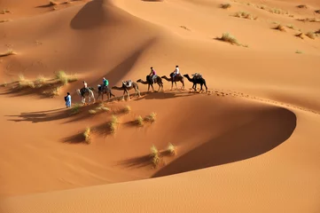 Deurstickers Marokko Sahara