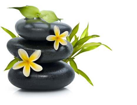 Spa still life with yellow flowers