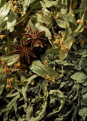 Plantes à tisane