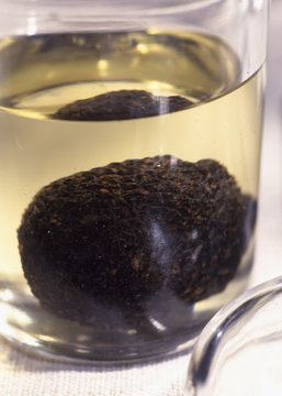 Truffe noire marinée à l'huile