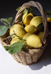 Panier de citrons