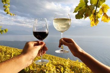 Two hands holding wineglases in Lavaux region, Switzerland