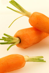 Jeunes carottes
