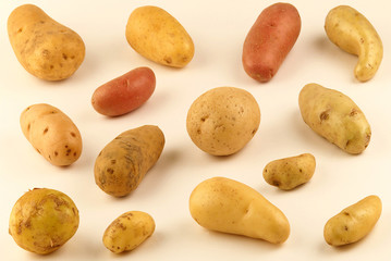 Assortiment de pommes de terre