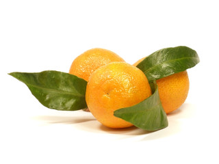 Tangerines with leaves