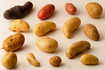 Assortiment de pommes de terre