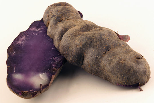 รูปภาพCiseler – เลือกดูภาพถ่ายสต็อก เวกเตอร์ และวิดีโอ222 | Adobe Stock