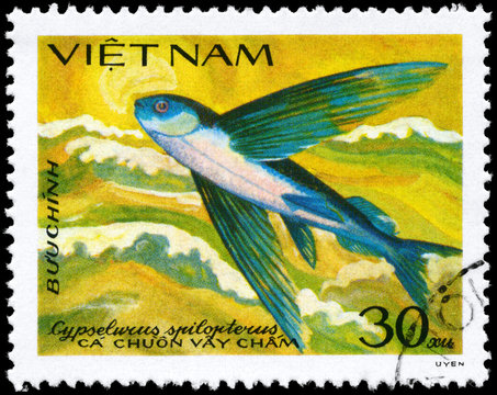 VIETNAM - CIRCA 1984 Flying Fish
