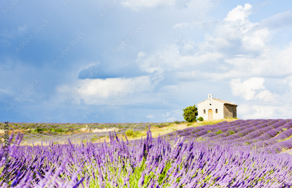 Poster chapel with lavender field, plateau de valensole, provence, fran