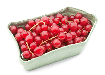 Red currant berry