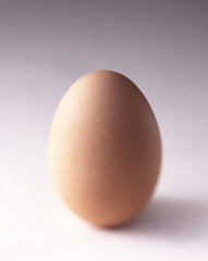 Oeuf