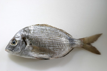 Sar