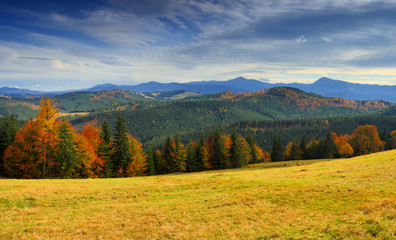 Fototapeta premium autumn landscape