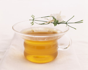 Infusion de jasmin et orange sanguine 