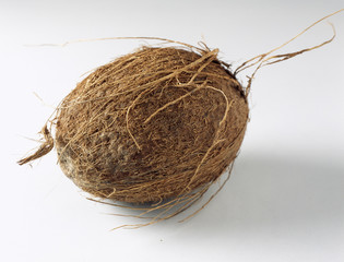 Noix de coco