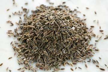 Graines d'aneth