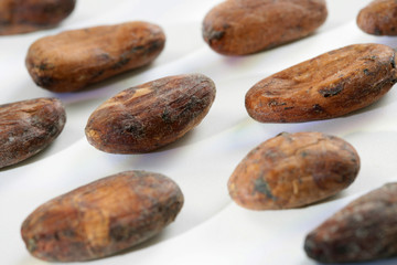Fèves de cacao