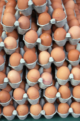 Pile de boîtes d'oeufs