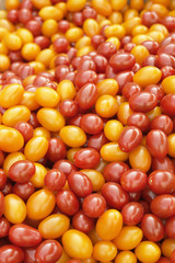 Étal de tomates cerises rouges et jaunes
