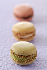 Petits macarons