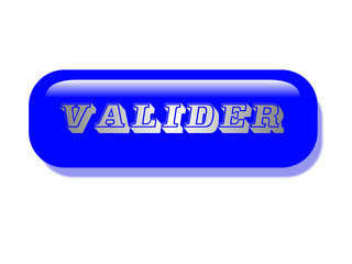 BOUTON BLEU VALIDER
