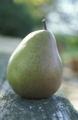 Poire en ext&eacute;rieur
